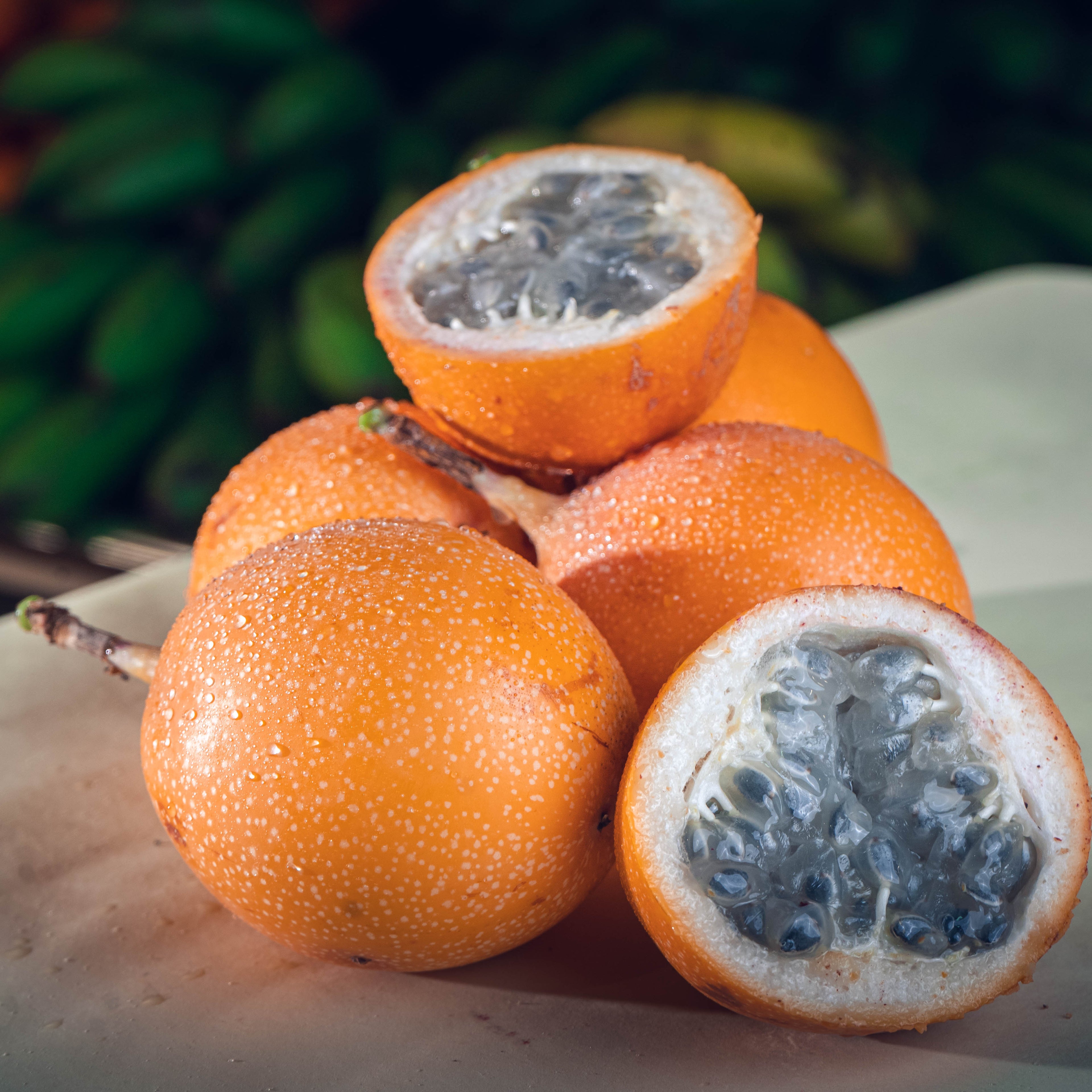GRANADILLA
