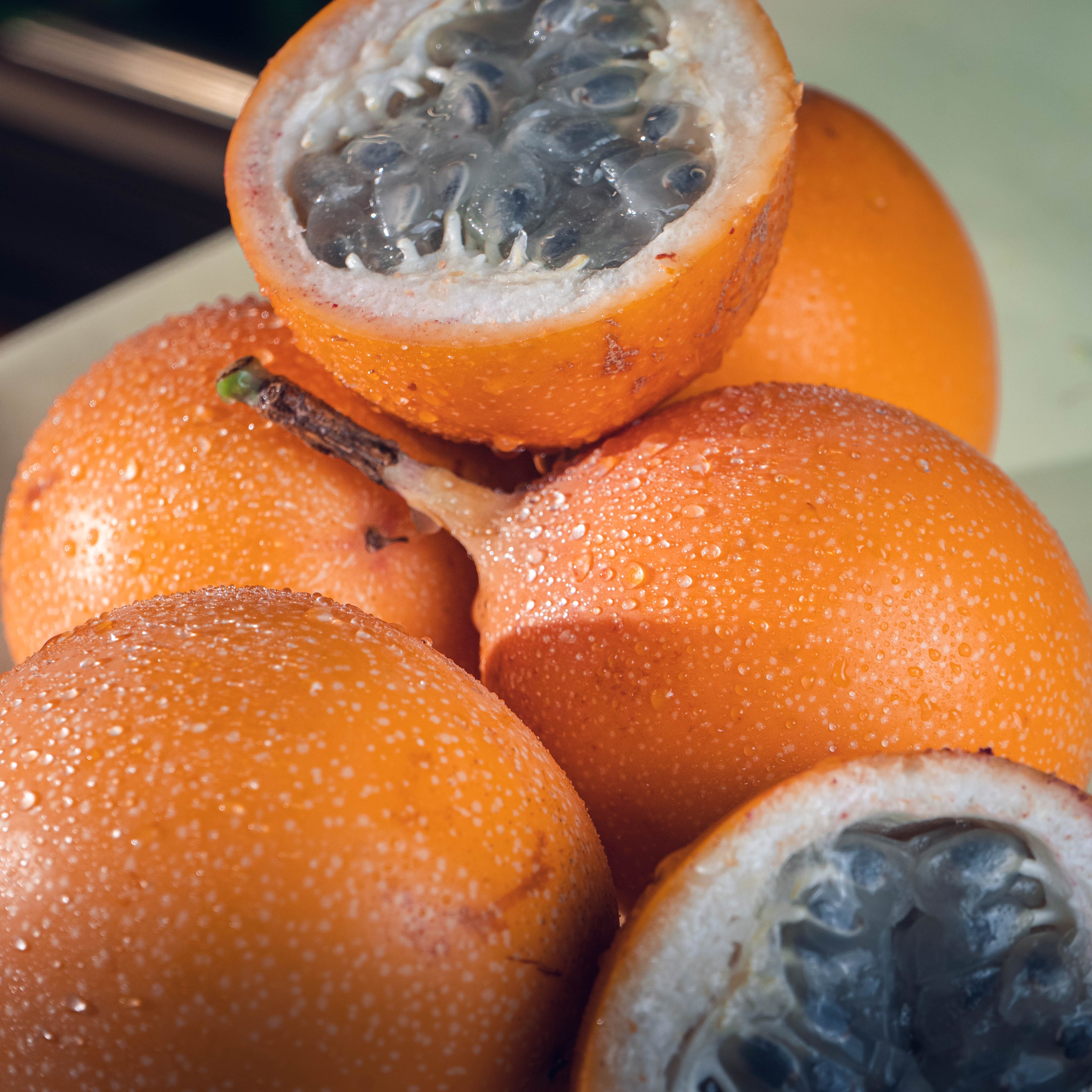 GRANADILLA