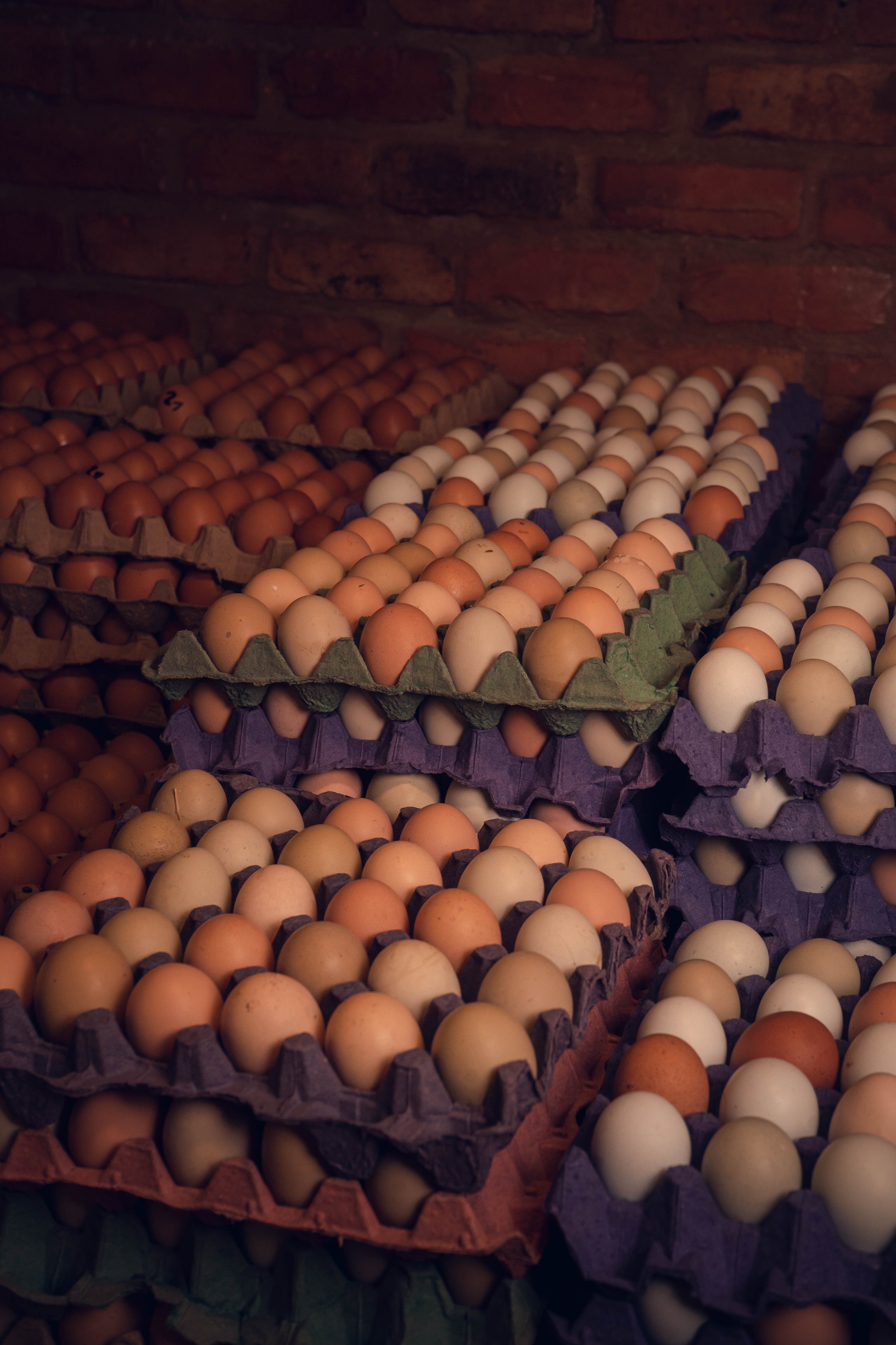HUEVOS CAMPESINO