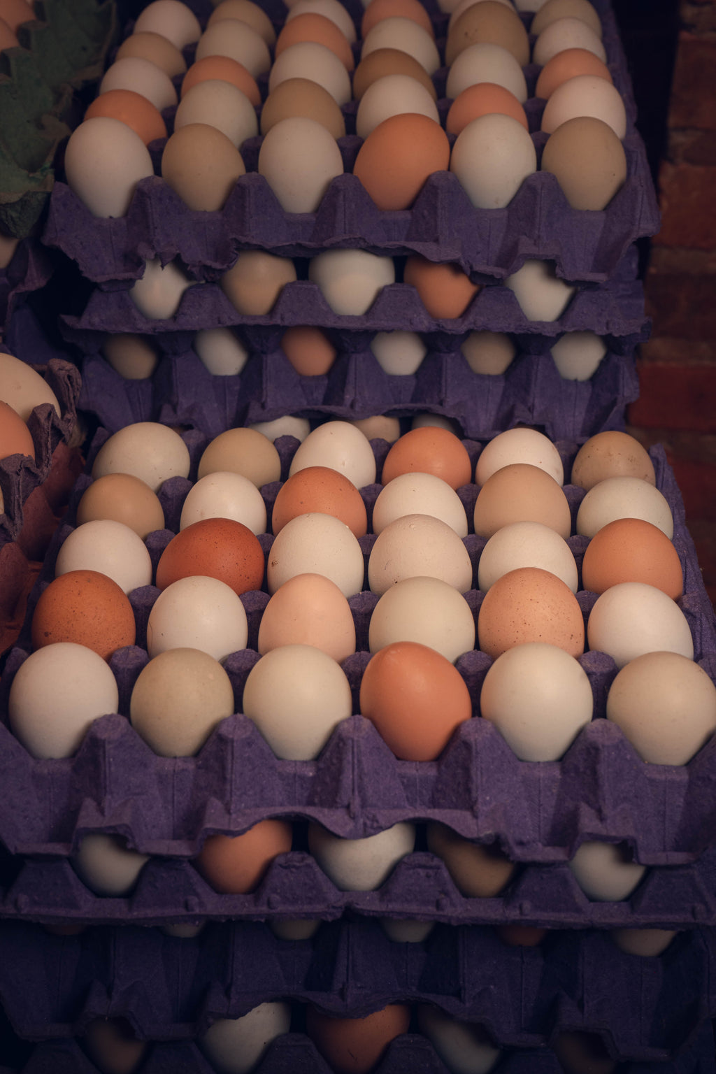 HUEVOS CAMPESINO