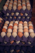 HUEVOS CAMPESINO