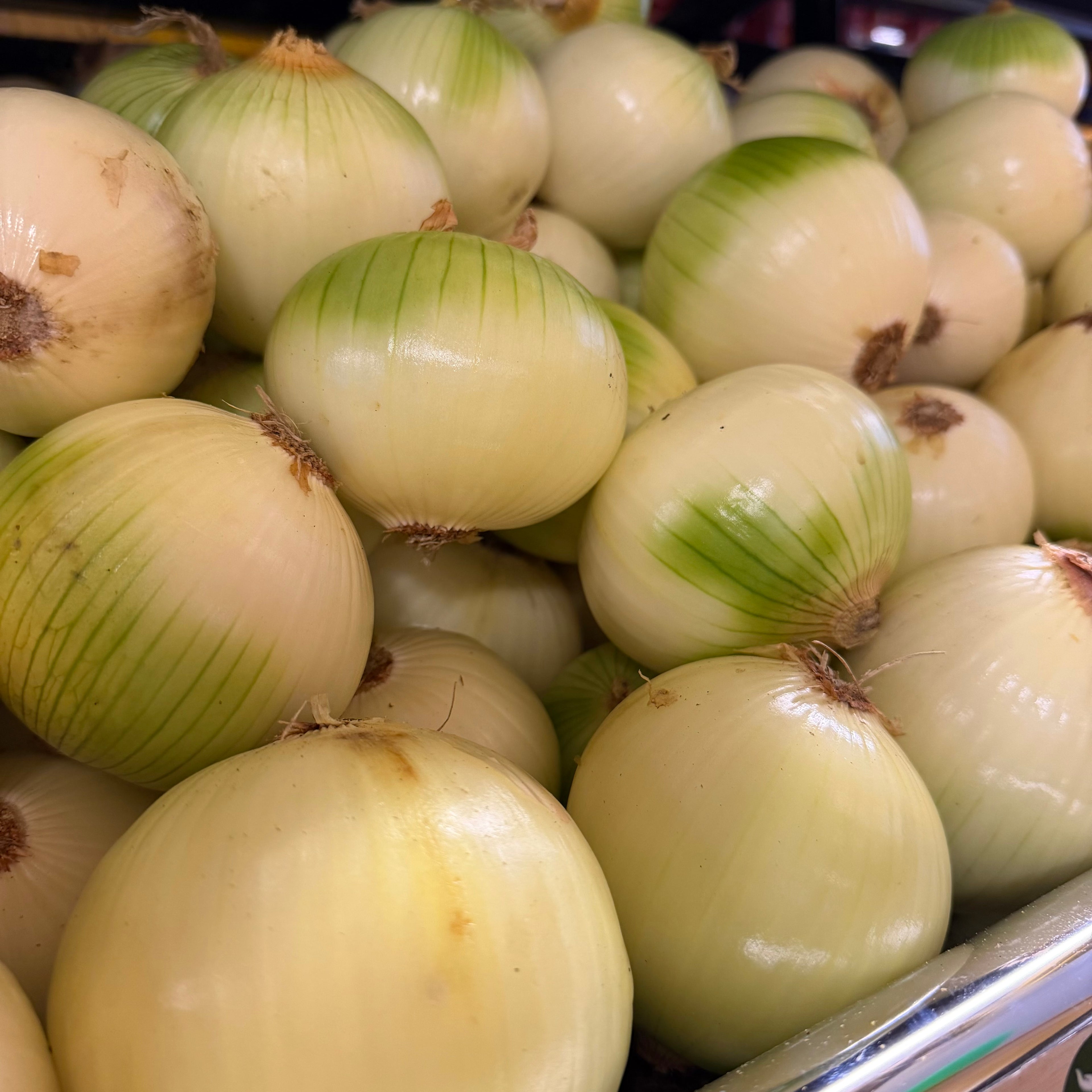 CEBOLLA