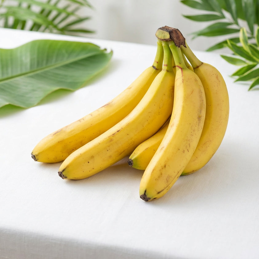 PLATANO BANANO