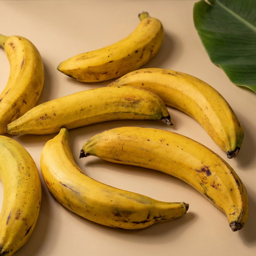 PLATANO