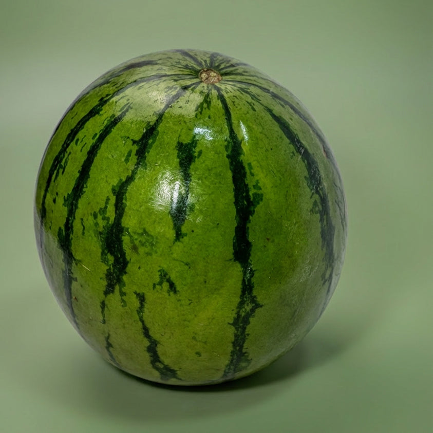SANDIA UNIDAD