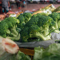 Brócoli