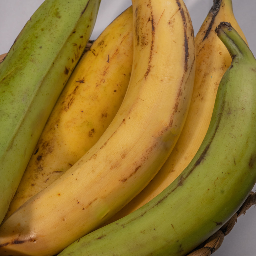 PLATANO