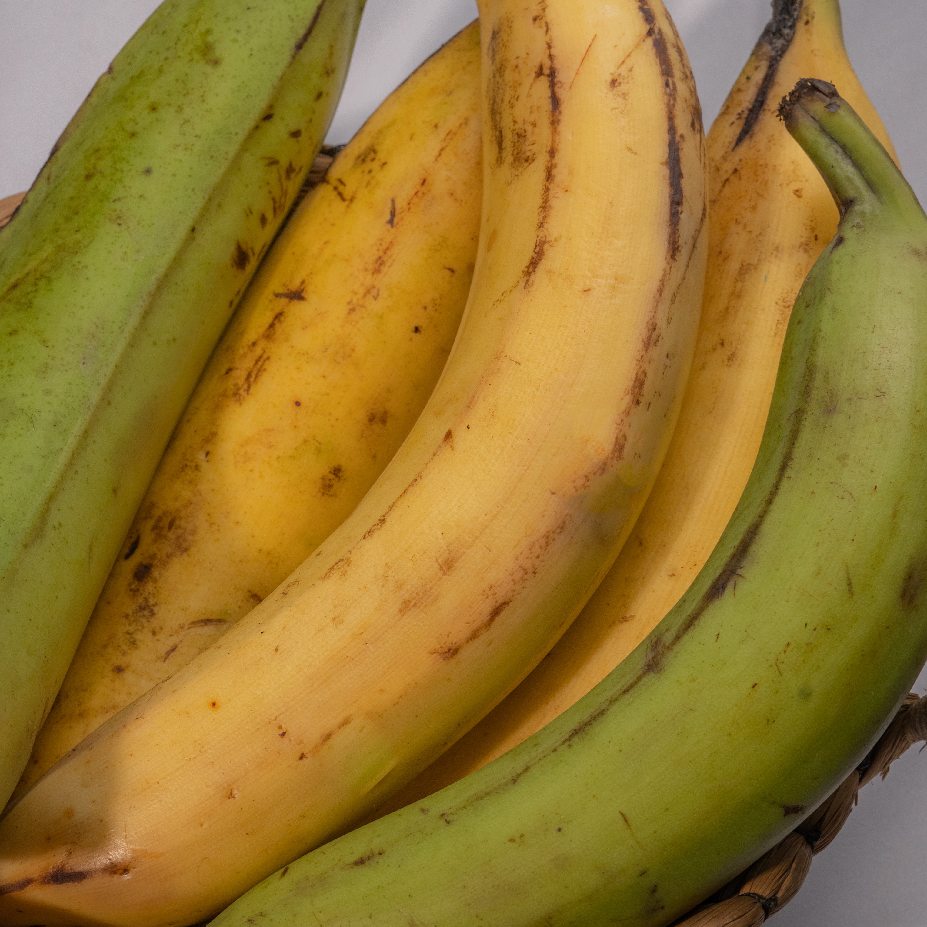 PLATANO