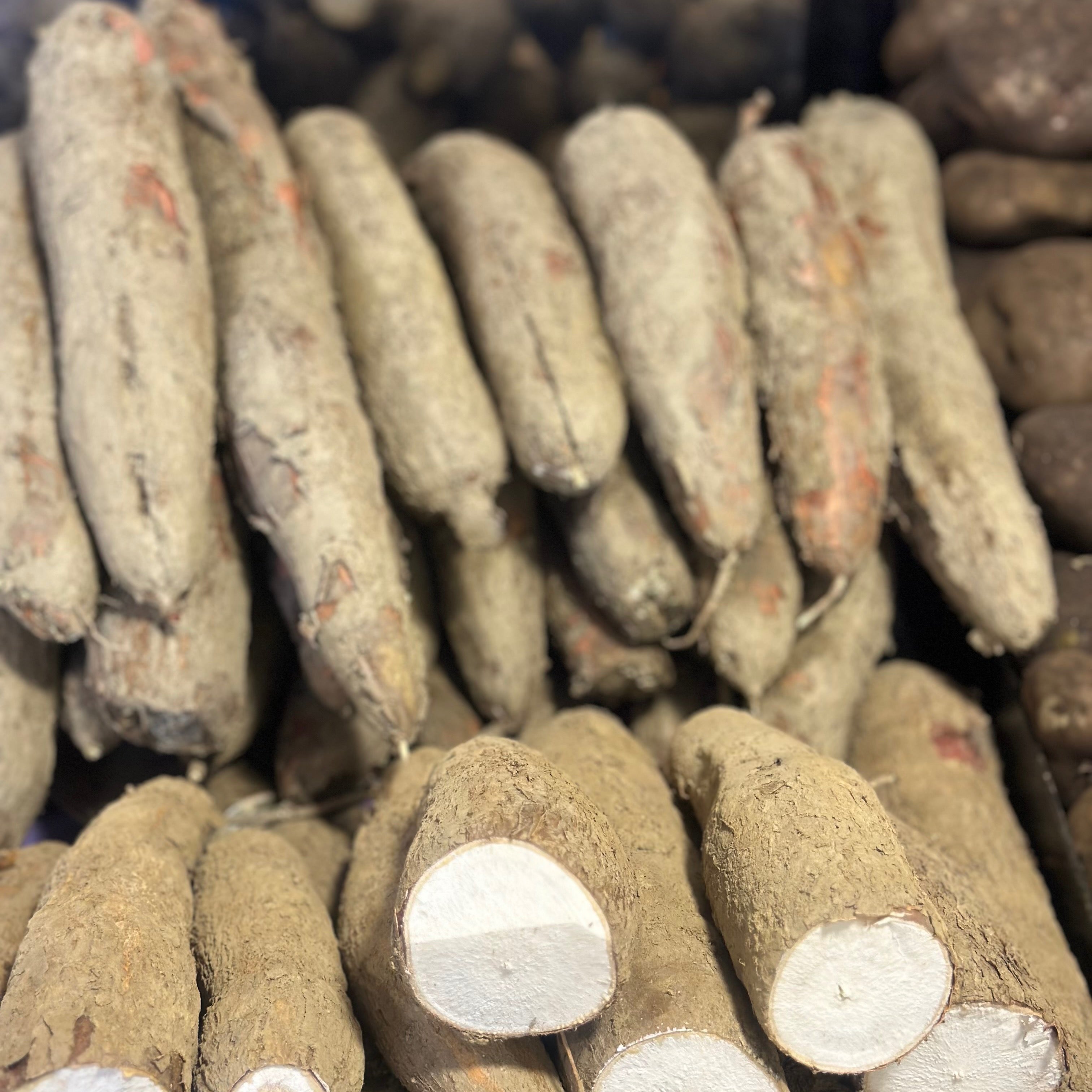 YUCA