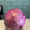 REPOLLO MORADO