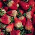 Fresas