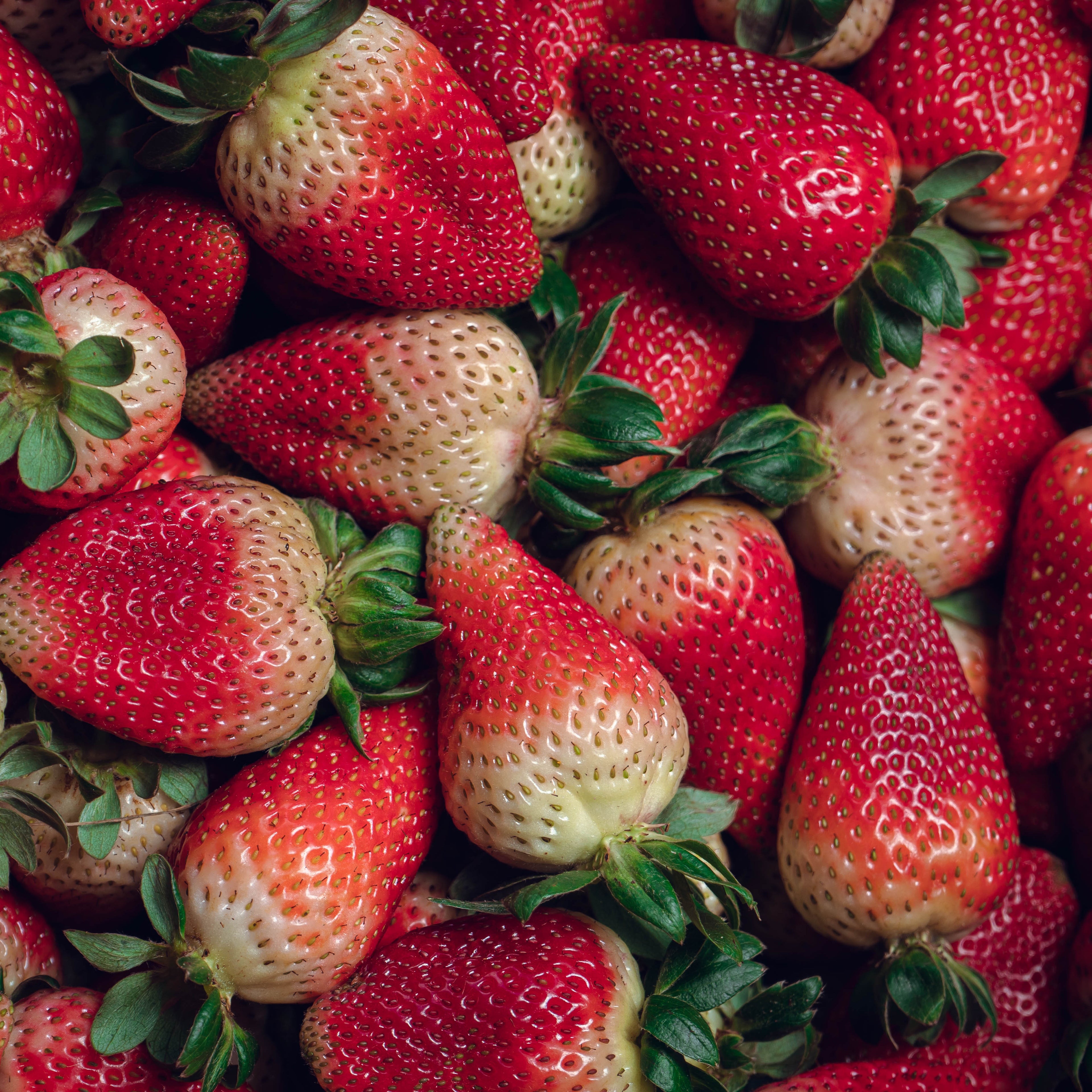 Fresas