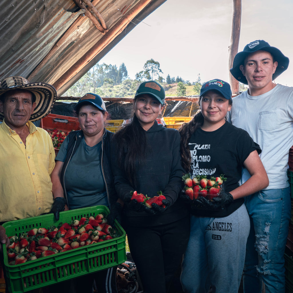 Fresas