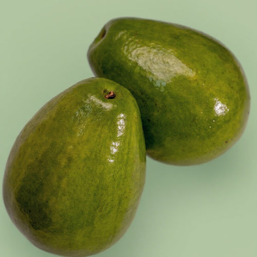 Aguacate