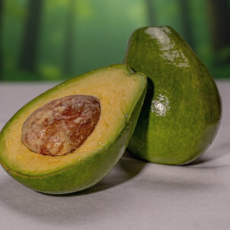 Aguacate