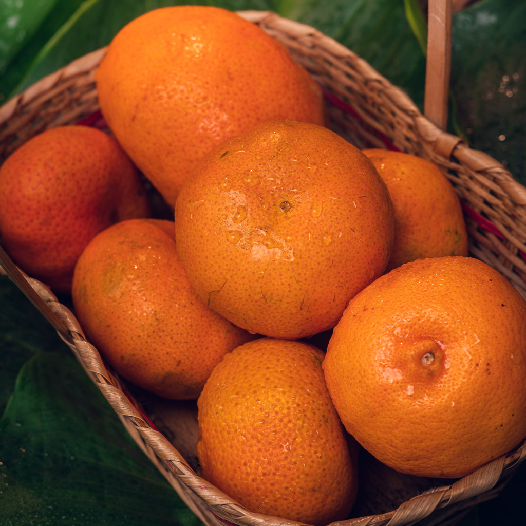 MANDARINA