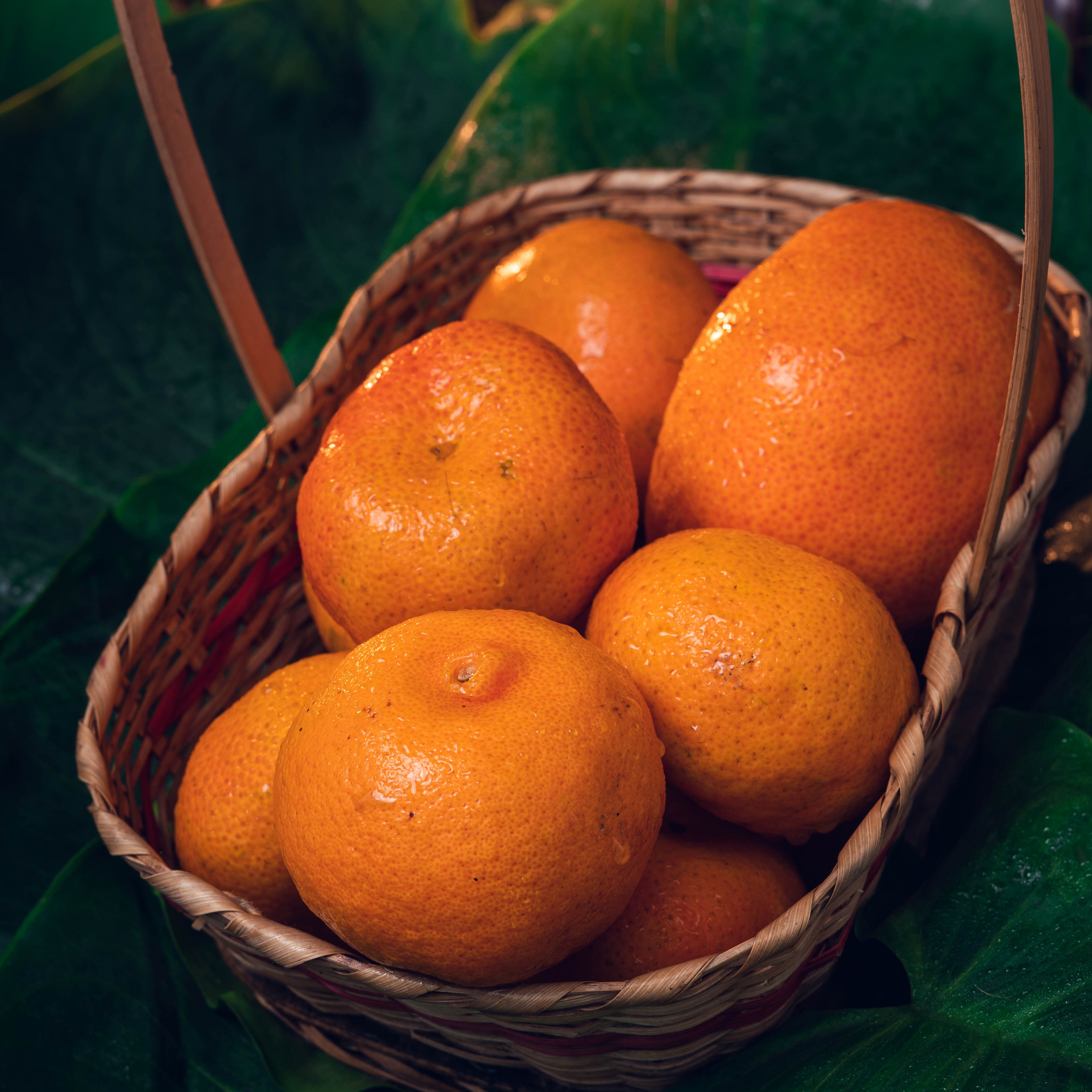 MANDARINA