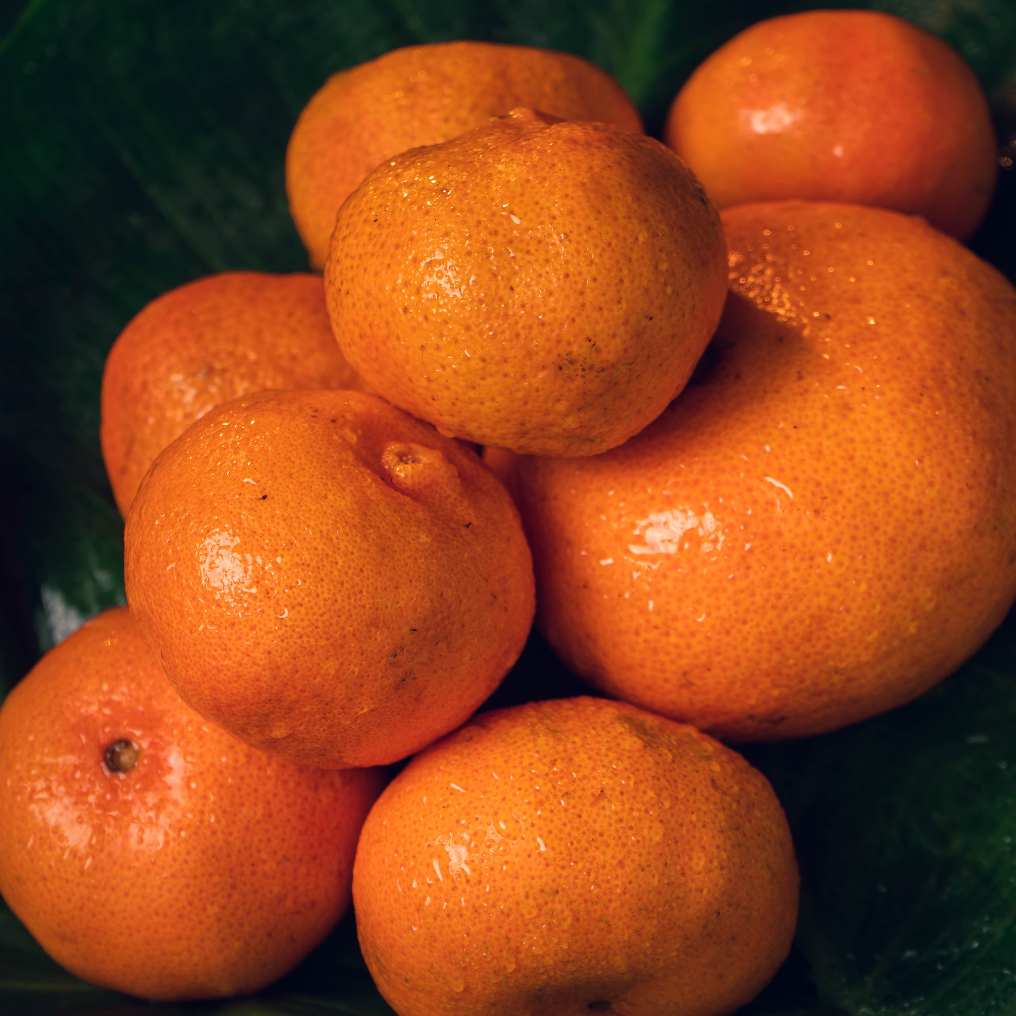 MANDARINA
