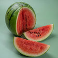SANDIA UNIDAD